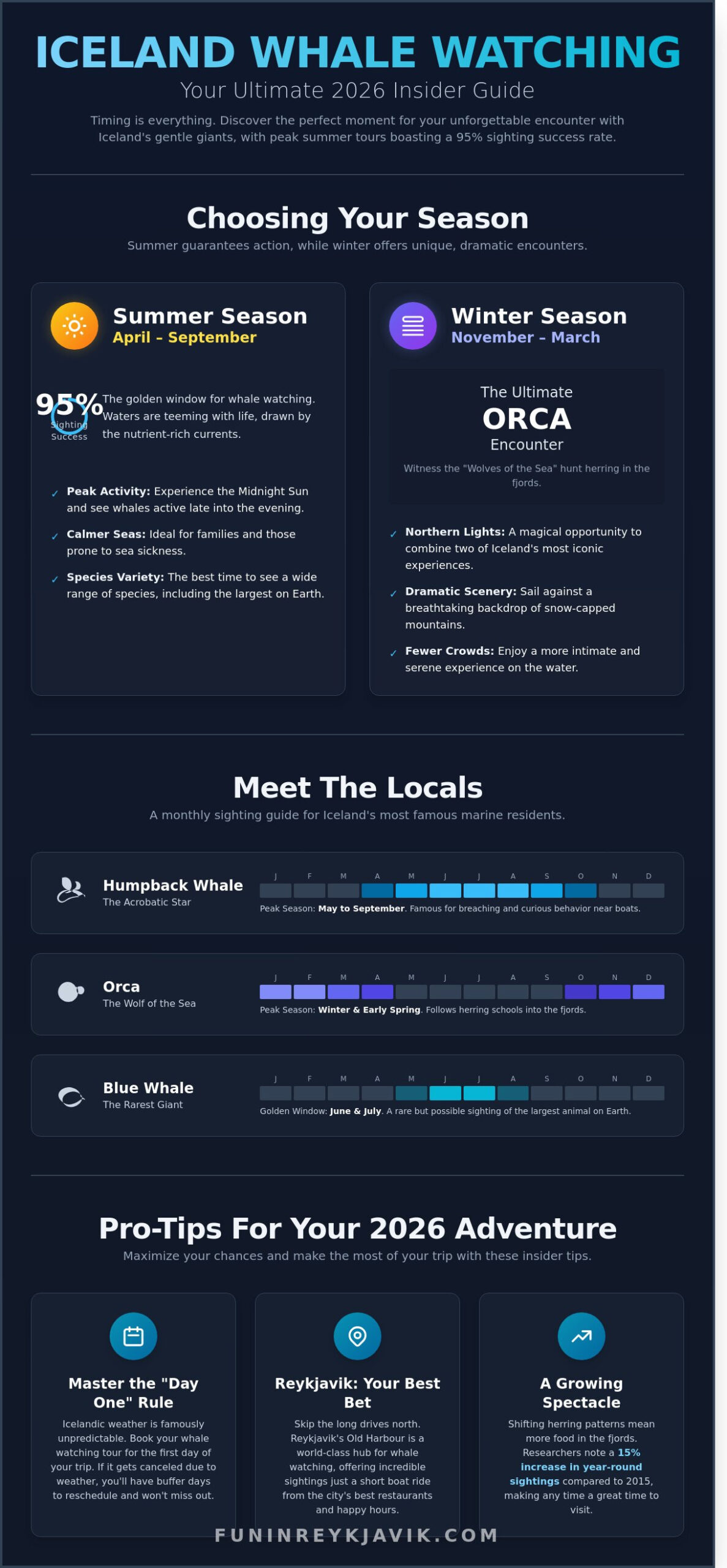 Best Time for Whale Watching in Iceland: The 2026 Insider Guide - Infographic