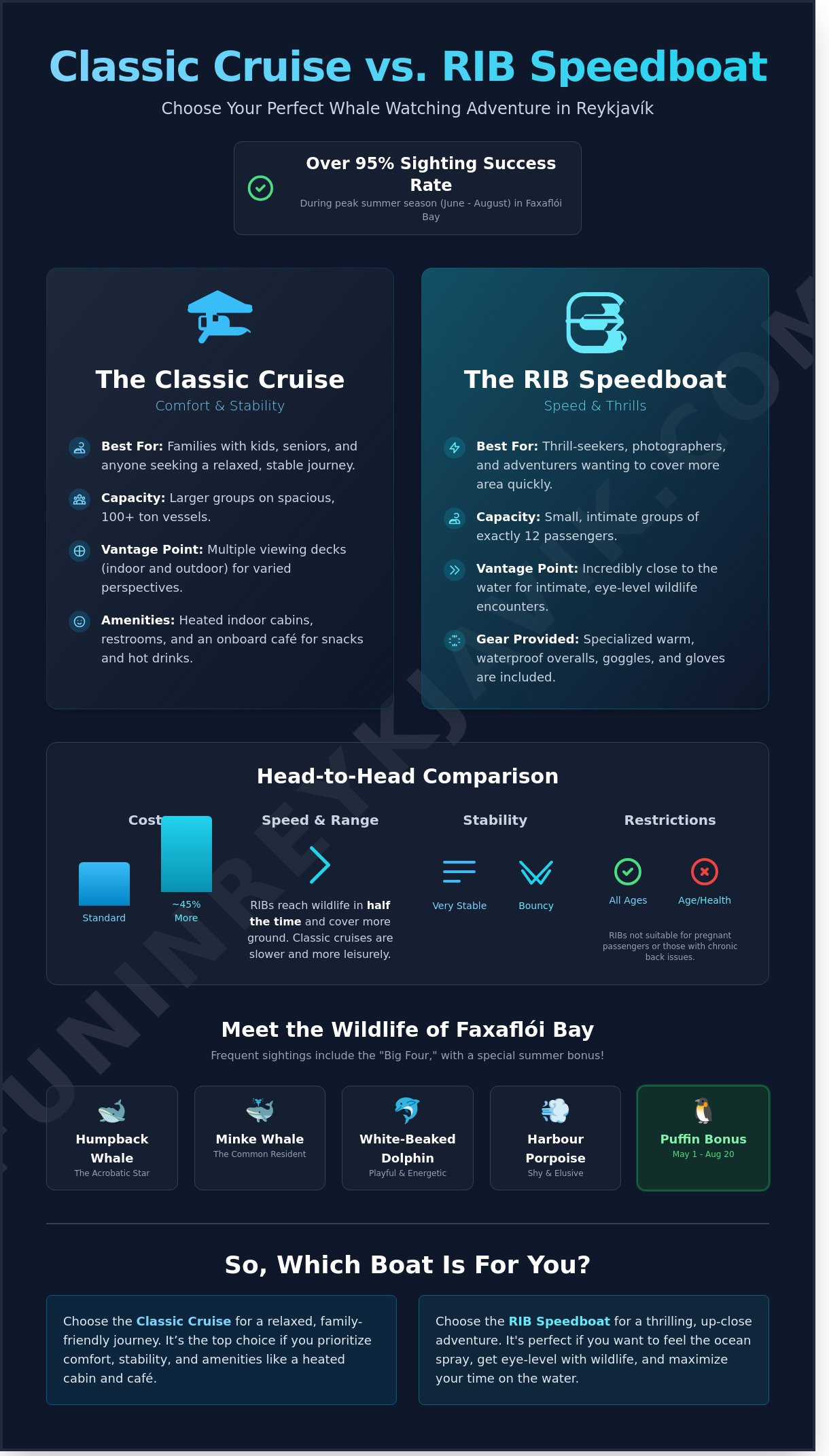 Whale Watching Reykjavik: The Ultimate Insider’s Guide for 2026 - Infographic